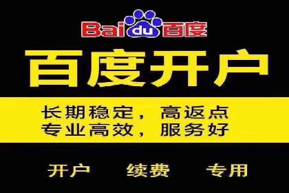百度推广优化策略：成功案例解析
